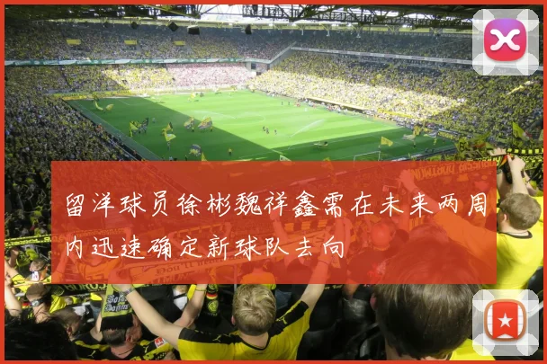 留洋球员徐彬魏祥鑫需在未来两周内迅速确定新球队去向